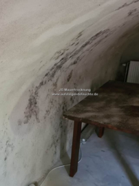 Schimmel auf den Wänden im Keller