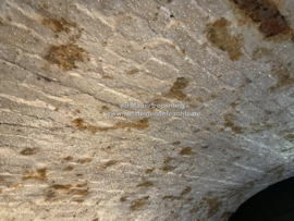 Kondenswasser Wand/Keller