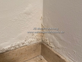 Blasen an der Wand