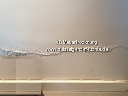 Kein Gipsputz auf Salzbelastete Wände!