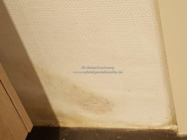 Flecken an der Wand (aufsteigende Feuchte)