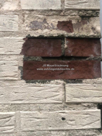 aufsteigende Feuchte (Außenwand)