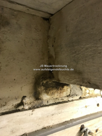 Holzbalken in feuchter Wand