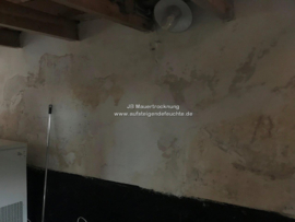 Holzbalken in feuchter Wand
