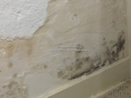 Schimmel an der Wand