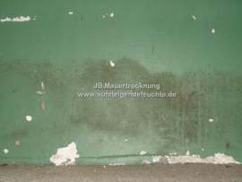 Schimmel an der Wand