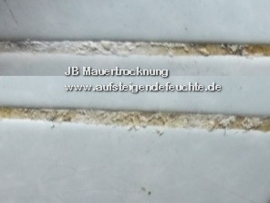 Kein Gipsputz auf Salzbelastete Wände!