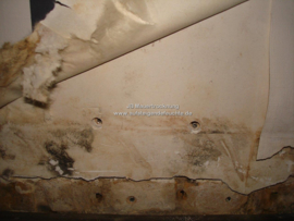 Schimmel an der Wand