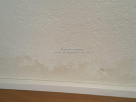 Feuchtigkeitsflecken an der Wand