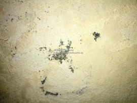 Farbe blättert ab