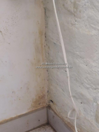 Flecken an der Wand (aufsteigende Feuchte)