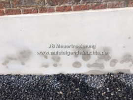 aufsteigende Feuchte (Außenwand)