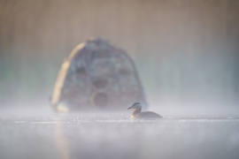 Fotograf miesiąca: Patryk Kurc