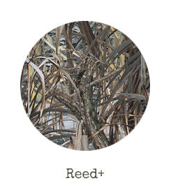 Reed+ | Namiot-czatownia
