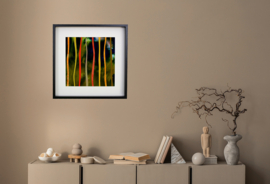 2023/11 - Colourful Fall
