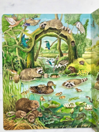 Kijk- en zoekboek Bij het water
