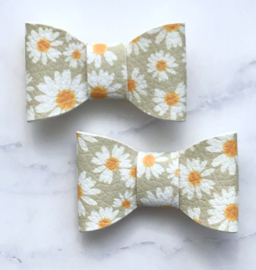 Daisy set van 2