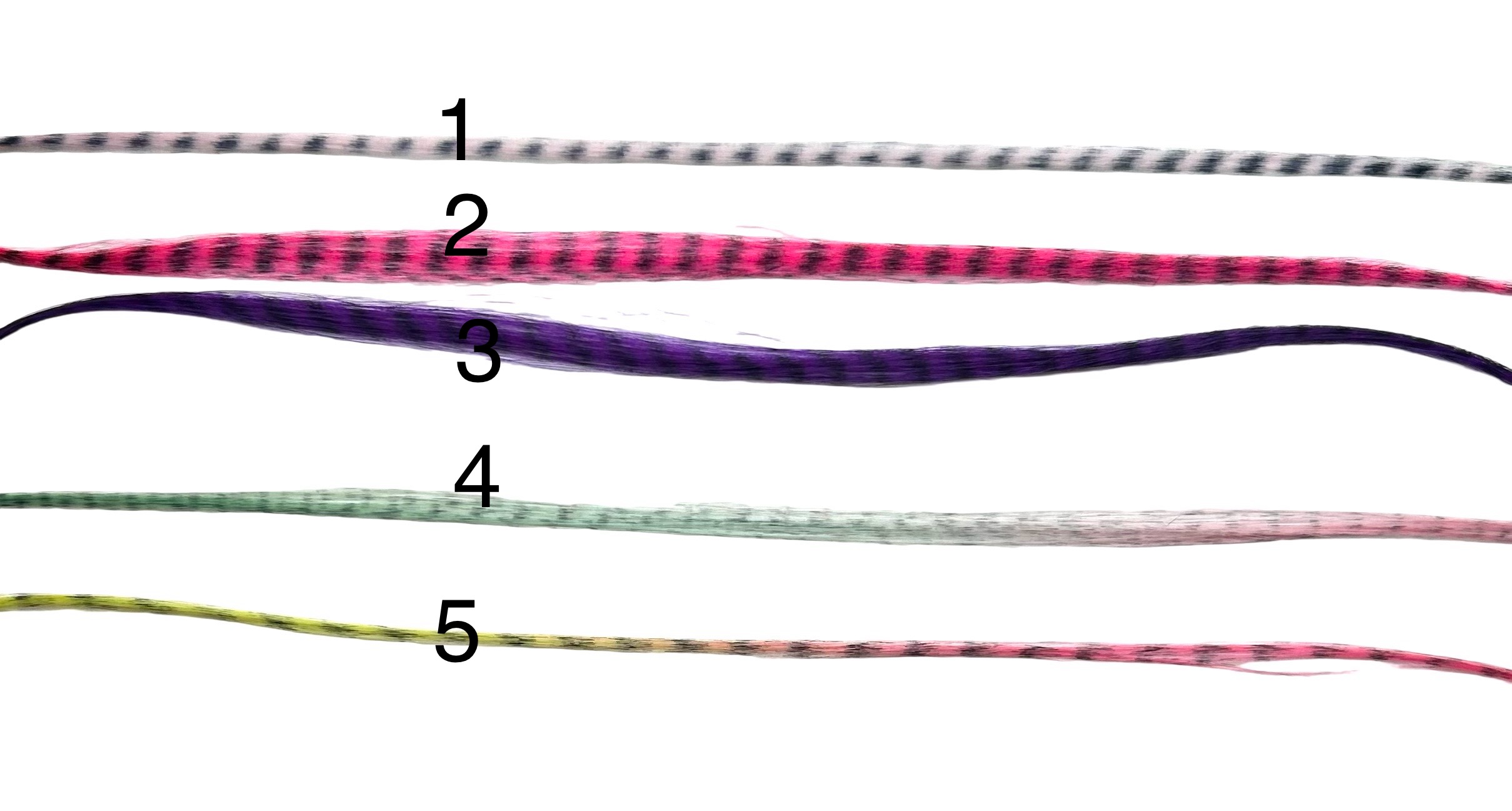 Feathers