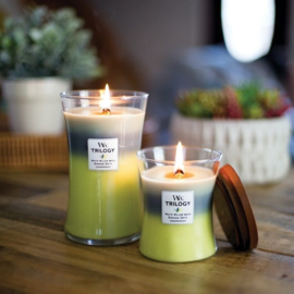 WW  Woodland Shade Ellipse Trilogy