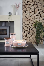 WW Pressed Blooms & Patchouli