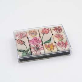 Mini magneetset Historische Tulpen