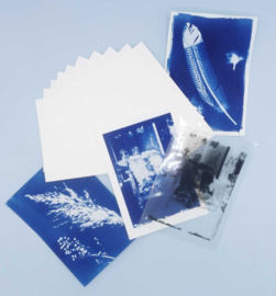DIY Cyanotype kit – Papier