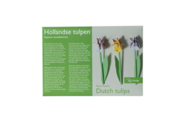 Papieren vouwbloemen tulpen