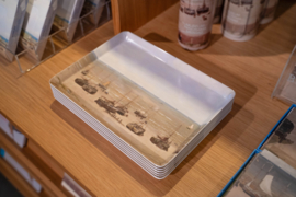 Dienblad Panorama van Scheveningen