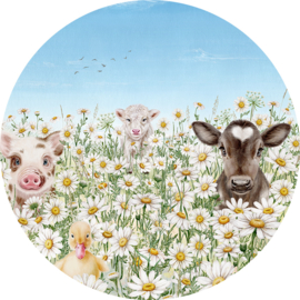 Muurcirkel | Farm Animals | Kikki Belle