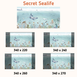Fotobehang - Secret Sealife
