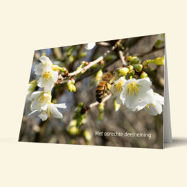 Met oprechte deelneming
