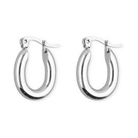 Kleine creolen ovaal stainless steel zilver