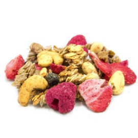 Granola bosvruchten 350 g