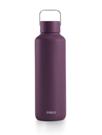Thermosflessen Equa
