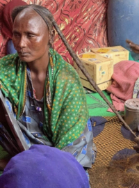 Pure Chebe powder 100 gram