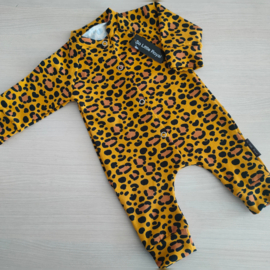 Boxpakjes Leopard brown