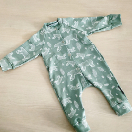 Boxpakjes bears green
