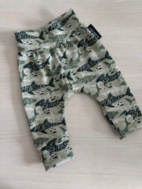 Broekje Sharks