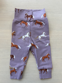 Legging Purple Horses