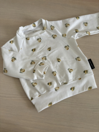 Sweater Citroentjes