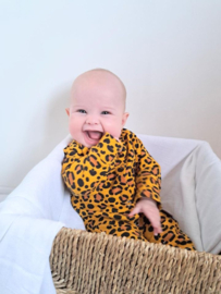 Boxpakjes Leopard brown