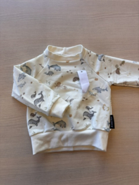 Sweater Oceaan