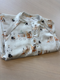 Boxpak Train Animals