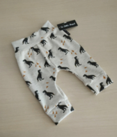 Broekje Dino
