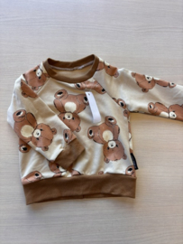 Sweater Bears