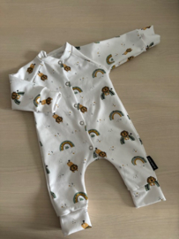 Boxpakje Rainbow Lions