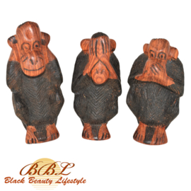 Three wise monkeys