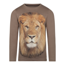 Koko Noko - Longsleeve leeuw