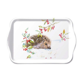 tray hedgehog in winter, Ambiente