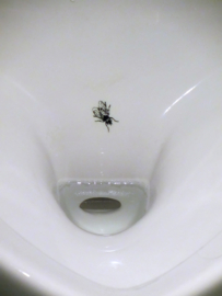 Urinal Fly - 2 pieces